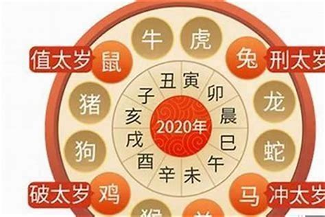 2024年属虎运势|属虎人2024年全年运势运程详解